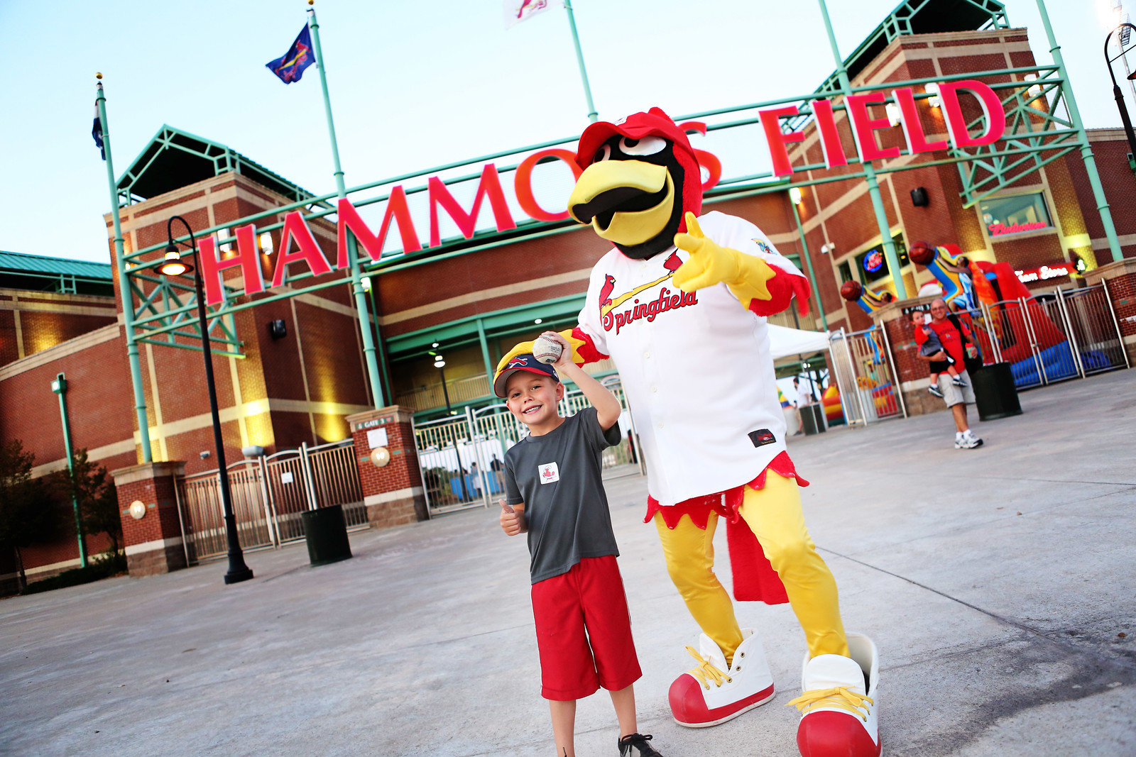 Springfield Cardinals AA Baseball