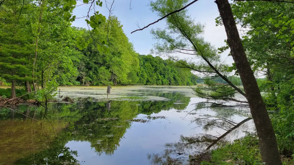 Springfield MO Parks and Hiking