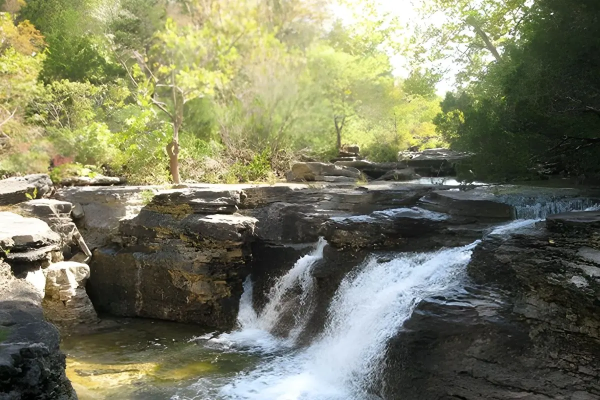 Mark Twain National Forest near Springfield Mo Hercules Glade