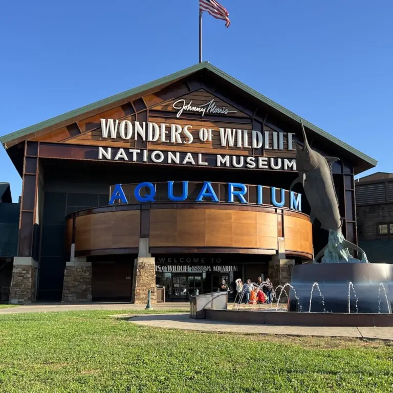 Wonders of Wildlife National Museum & Aquarium 3